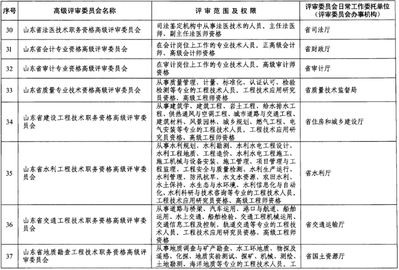 职称代理申报：解锁职业发展的新钥匙